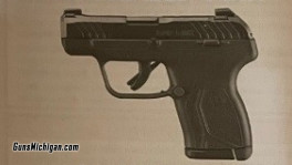 Ruger LCP Max 2