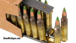 ruger ammo
