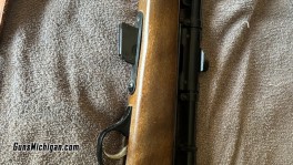 Glenfield Model 25