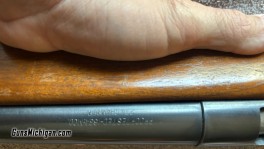 Sears shotgun 2